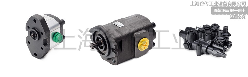 1702371571242247.jpg 齒輪泵.jpg